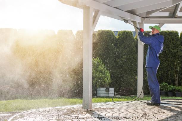 Best Driveway Pressure Washing  in Point Of Rocks, MD